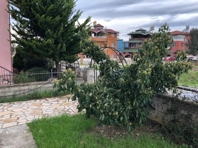 Отдельная вилла в Конаклы всего в 150 метрах от Средиземного моря фото 28