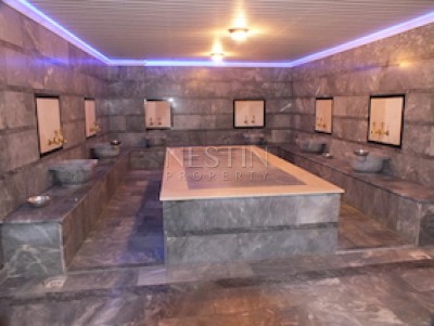 Дуплекс 4+1 с выходом в сад на самом берегу горной реки Димчай фото 7