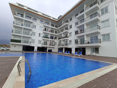 Квартира 1+1 в новом ЖК района верхней Обы фото 1