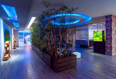 Студия в элитном комплексе в центре района Кестель фото 10