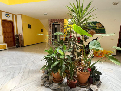 Квартира 2+1 в районе Оба, в 450 м от Средиземного моря фото 6