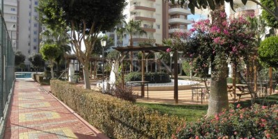 Просторный дуплекс 4+1 по хорошей цене в Тосмур фото 4