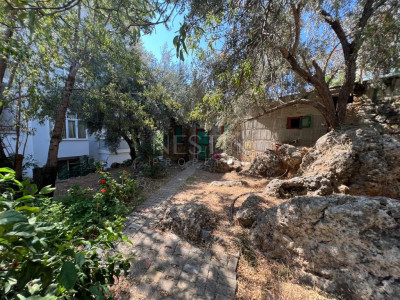 Квартира 1+1 в районе Тосмур в 600 м от Средиземного моря фото 18