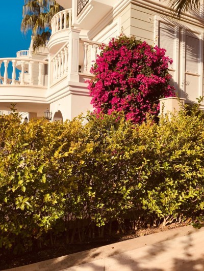 Вилла 4+1 в элитном коттеджном в Конаклы от собственника фото 1