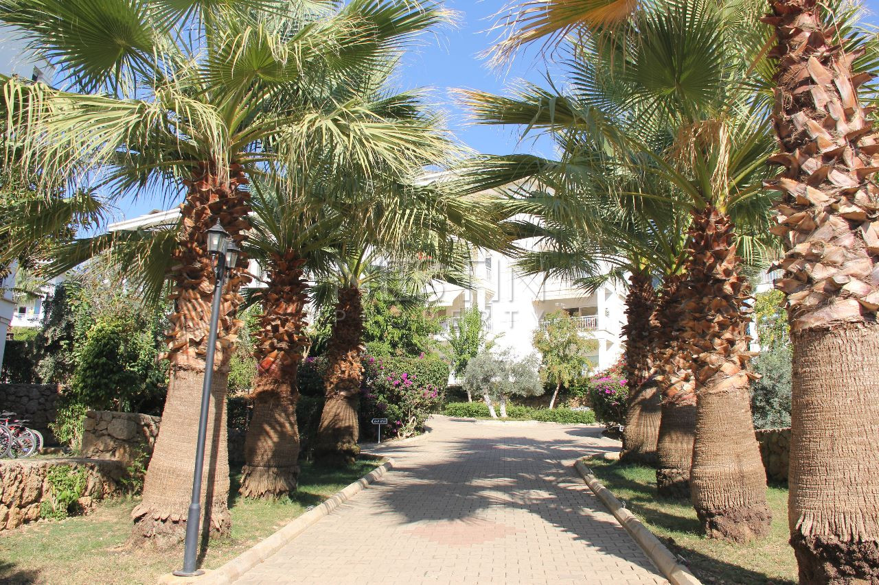 Квартира 2+1 в районе Оба в 1500 м от Средиземного моря фото 5