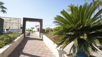 Апартаменты 2+1 на первой береговой линии в районе Оба напрямую от собственника фото 2