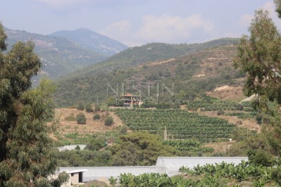 Вилла 4+1 с мебелью в закрытом комплексе с бассейном фото 7