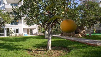 Квартира 1+1 в районе Джикджилли с новой мебелью фото 3