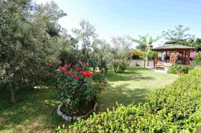 Новый комплекс от надежного застройщика в зеленой части Махмутлара фото 4