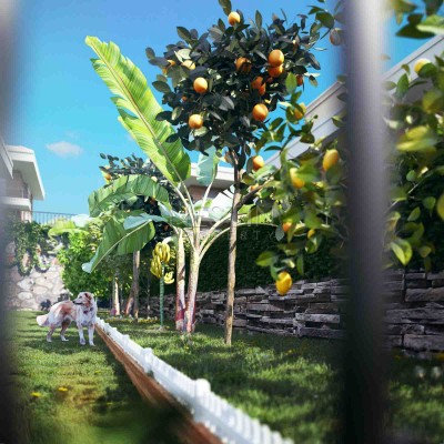 Инвестиционный проект Эковилл в районе Каргаджак с рассрочкой фото 8