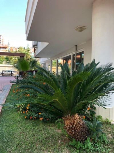 Квартира 3+1 с видом на горную реку в Кестеле фото 15