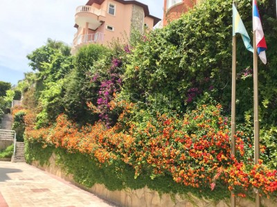 Вилла 2+1 в районе Кестель в 100 м от моря фото 24