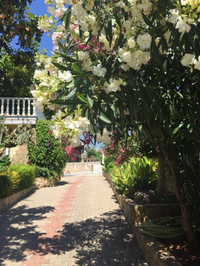 Вилла 2+1 в районе Кестель в 100 м от моря фото 30