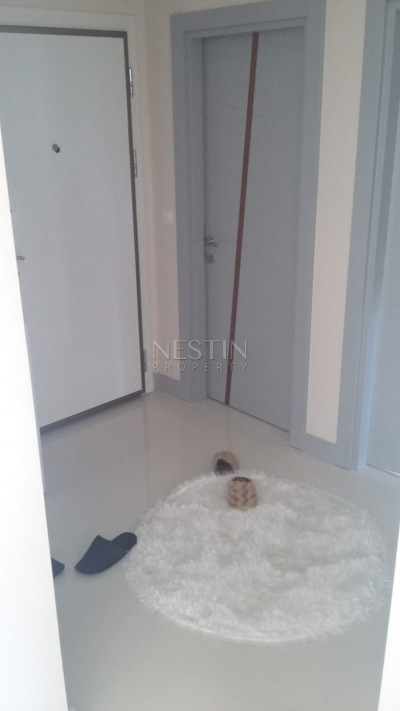 Квартира 1+1 в районе Муратпаша фото 12