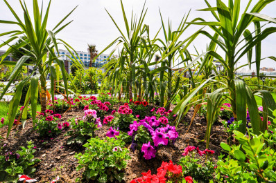 Шикарный Садовый дуплекс 2+1 в районе Каргыджак фото 3