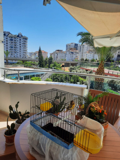 Замечательная квартира 2+1 в районе Джикджилли фото 20