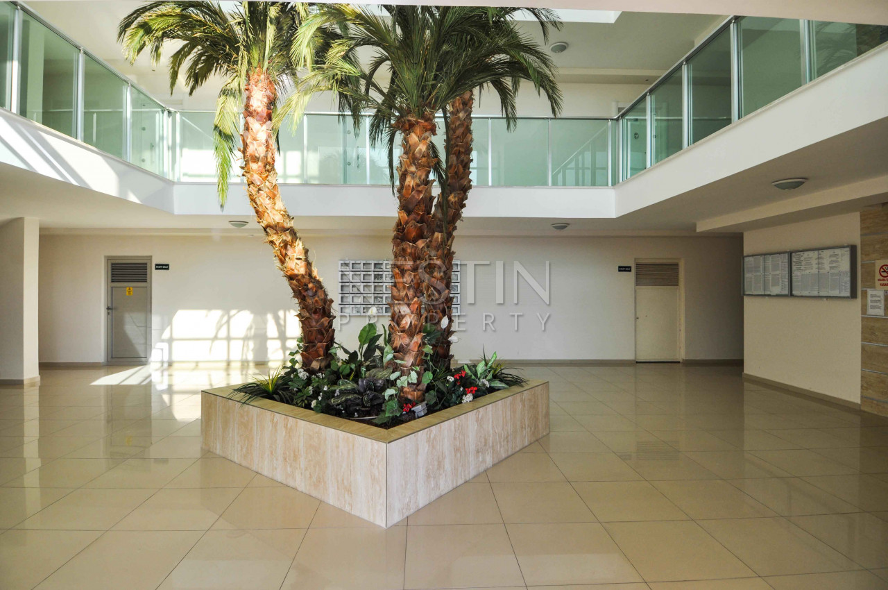 Квартира студия 0+1 в районе Авсаллар в 800 м от моря фото 3