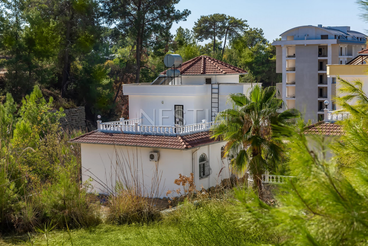 Вилла планировкой 3+1 в окружении леса в районе Авсаллар фото 1