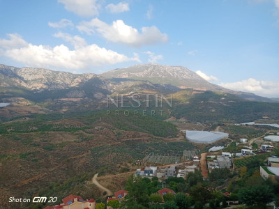 Квартира 3+1 в комплексе района Каргыджак с шикарным видом фото 17