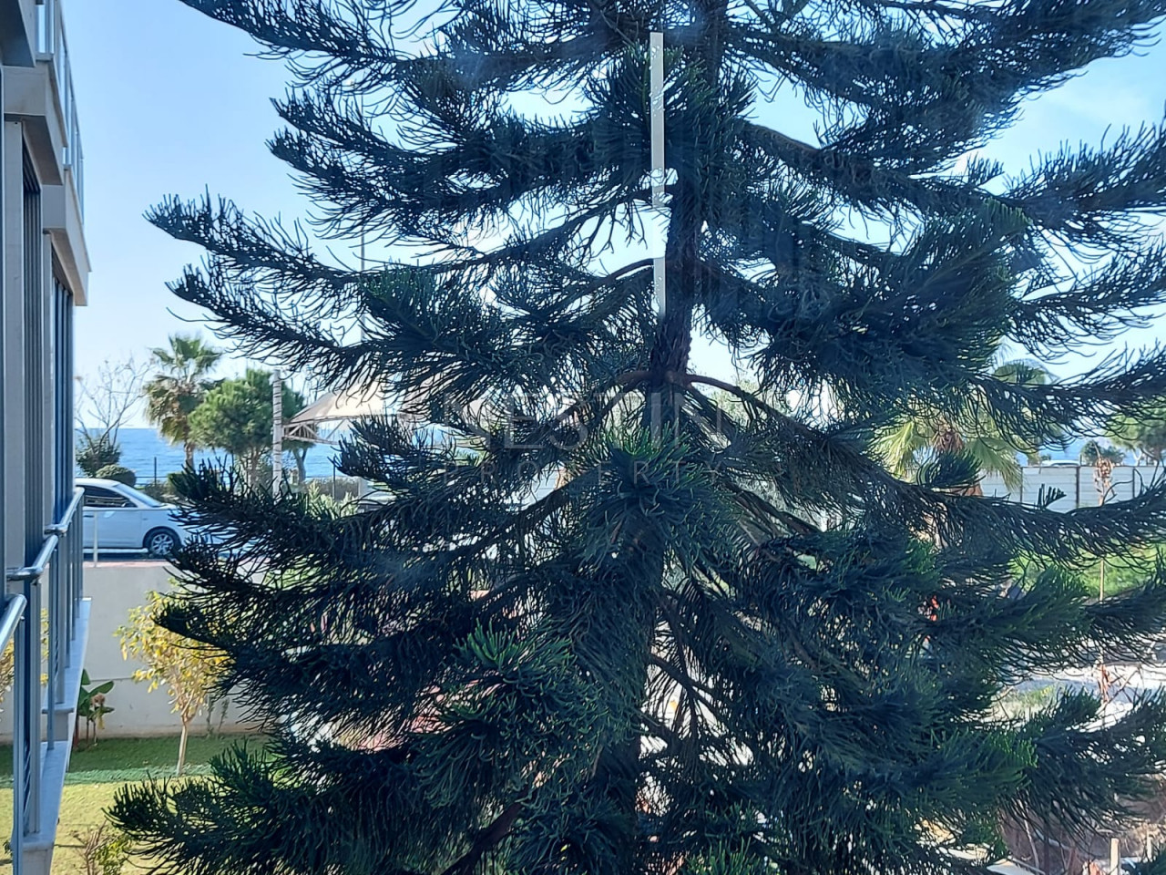 Большая квартира 1+1 в районе Кестель в 50 м от Средиземного моря фото 11