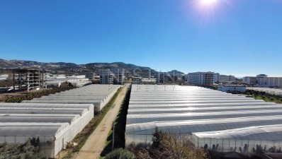 Большая квартира пентхаус 4+2 в районе Каргыджак в 350 м от моря фото 33