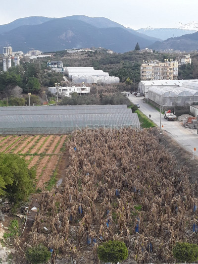 Квартира пентхаус 4+1 в районе Кестель в 100 м от Средиземного моря фото 16