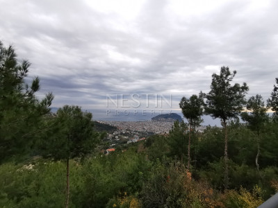 Просторная вилла 4+2 в городе Аланья, в районе Тепе фото 36