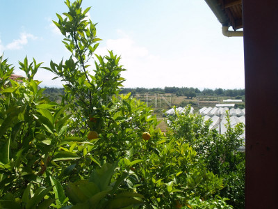 Вилла 3+1 в комплексе района Тюрклер фото 8