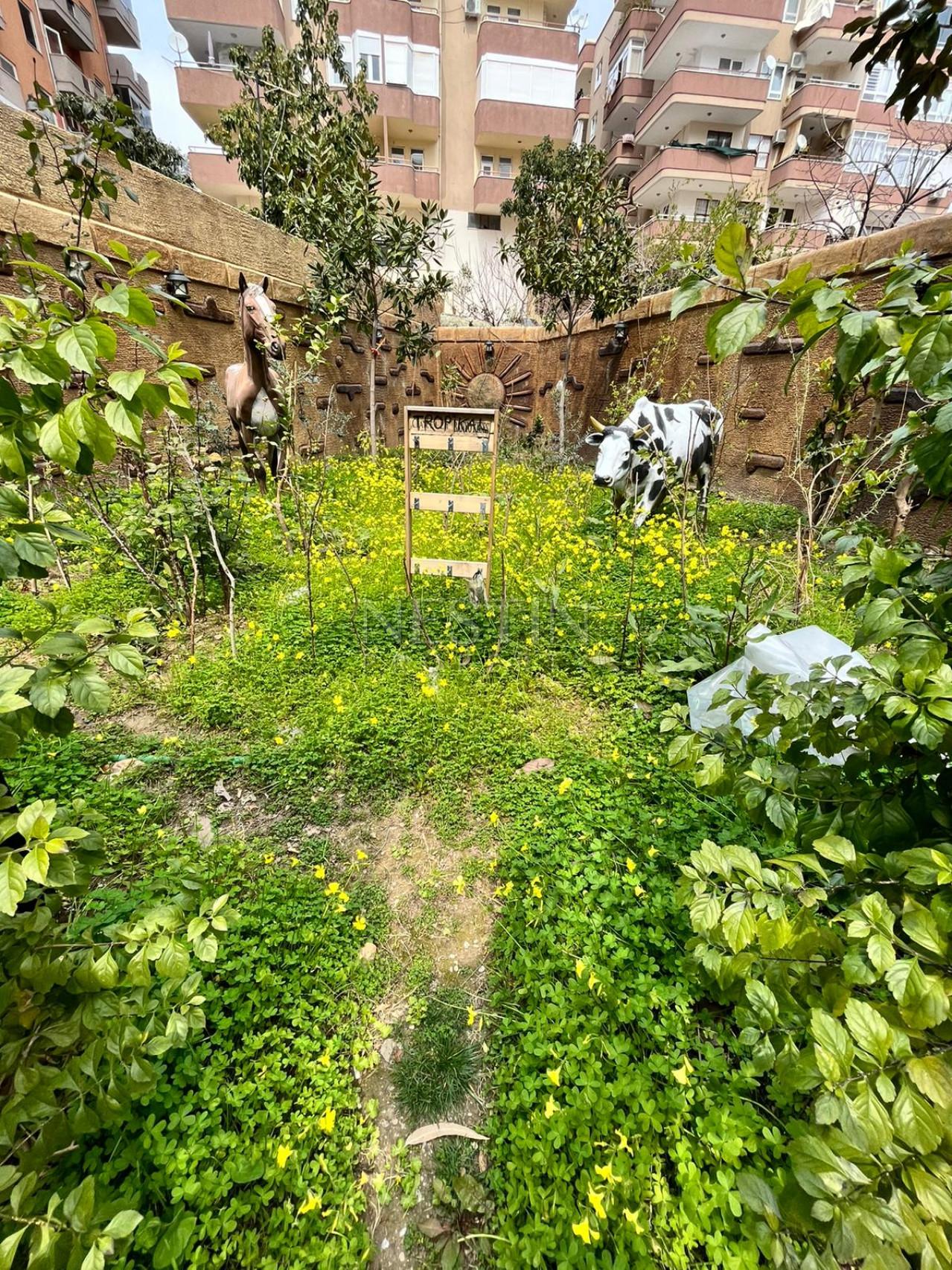 Светлая квартира 1+1 в центре Аланьи, в 500 м от Средиземного моря фото 4