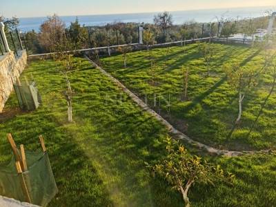 Вилла 8+1 с фруктовым садом в районе Авсаллар Инджекум фото 5