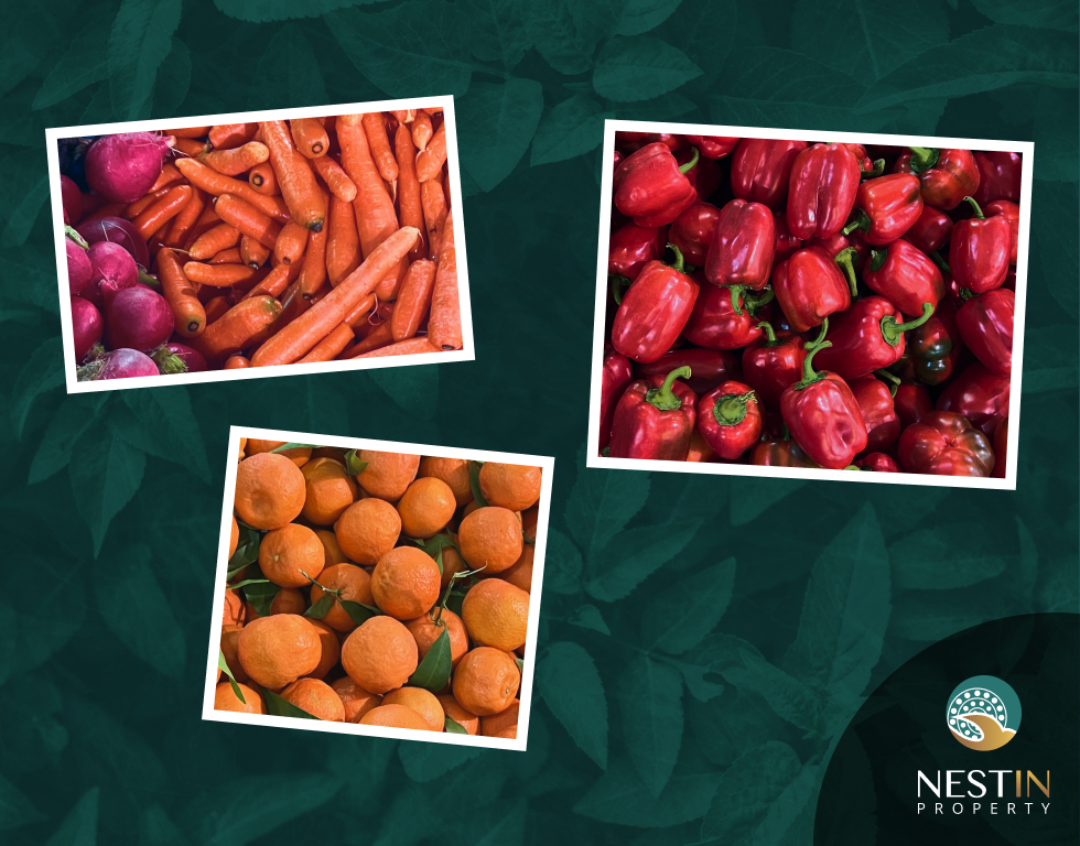 Субботний рынок в Махмутларе